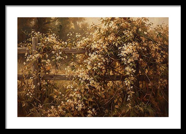 Sweet Autumn Clematis Over Fence