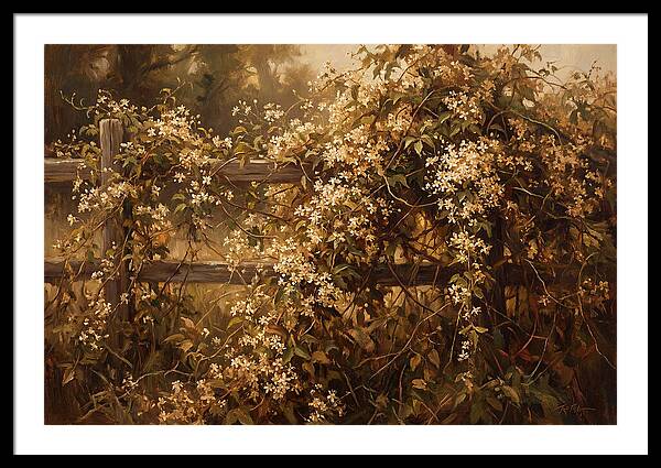Sweet Autumn Clematis Over Fence