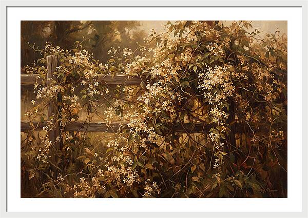 Sweet Autumn Clematis Over Fence
