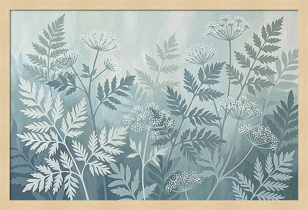 Sweet Cicely And Ferns