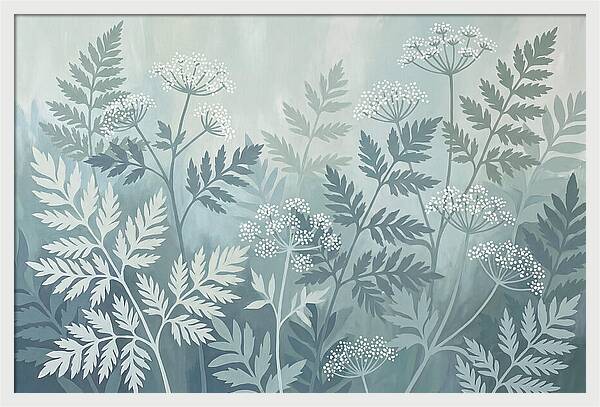 Sweet Cicely And Ferns