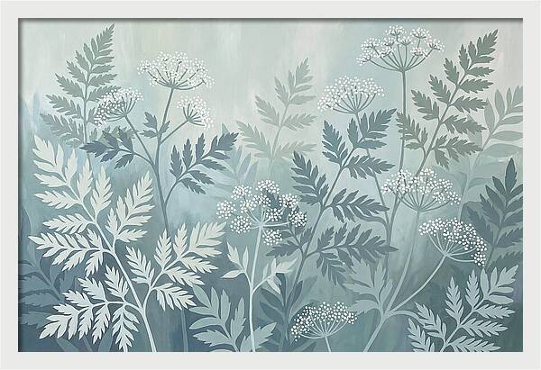 Sweet Cicely And Ferns