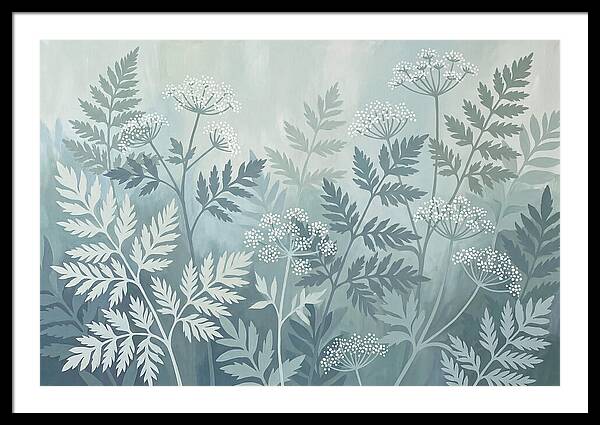 Sweet Cicely And Ferns