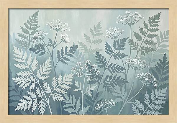 Sweet Cicely And Ferns