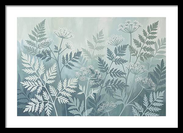 Sweet Cicely And Ferns