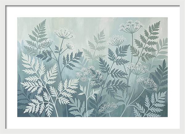 Sweet Cicely And Ferns