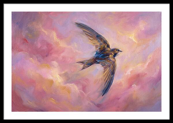 Swift Flight