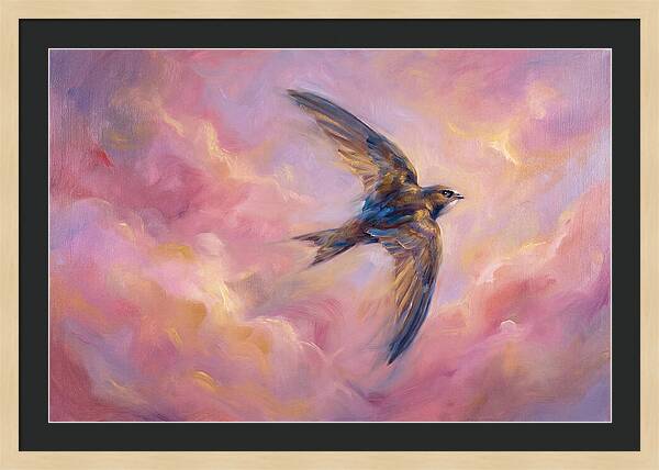 Swift Flight