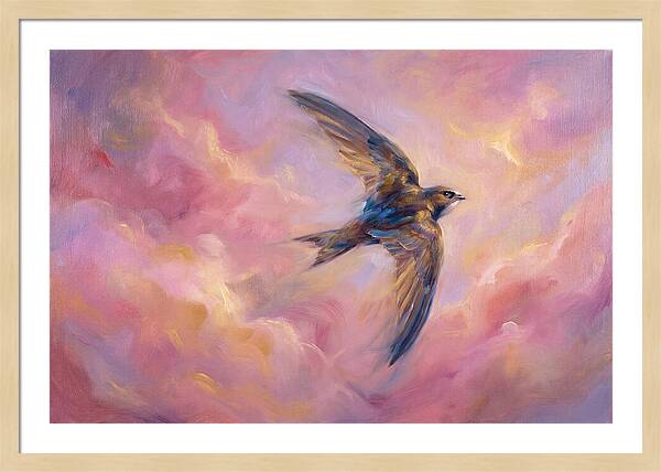 Swift Flight