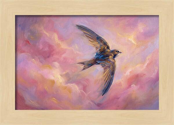 Swift Flight