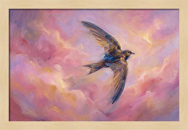 Swift Flight