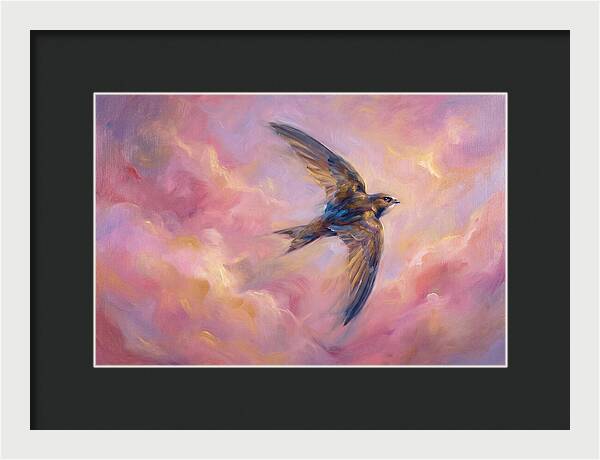 Swift Flight