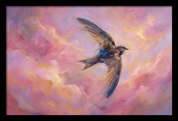 Swift Flight