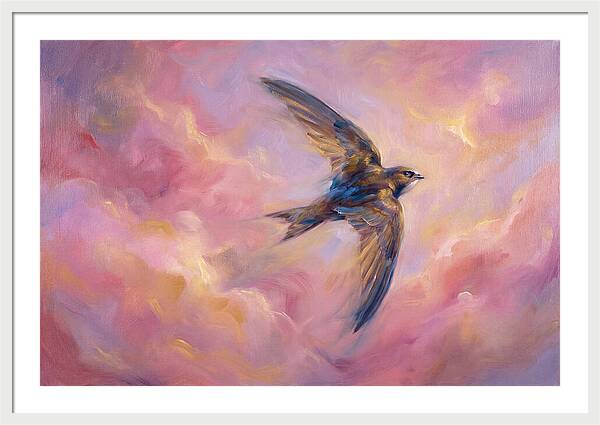 Swift Flight