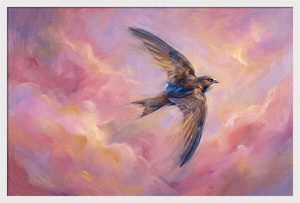 Swift Flight