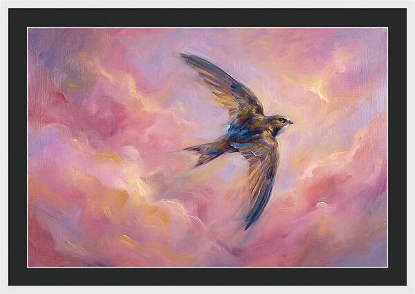 Swift Flight