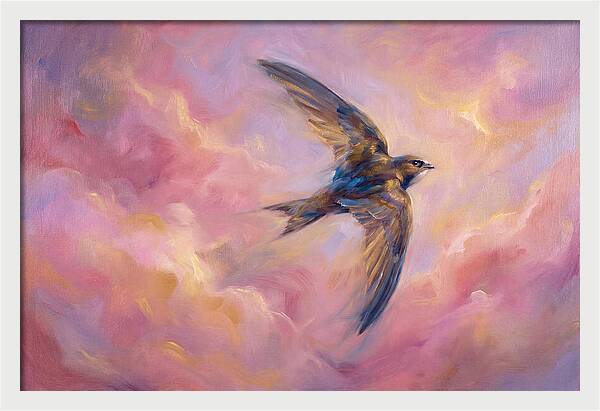 Swift Flight