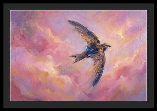 Swift Flight