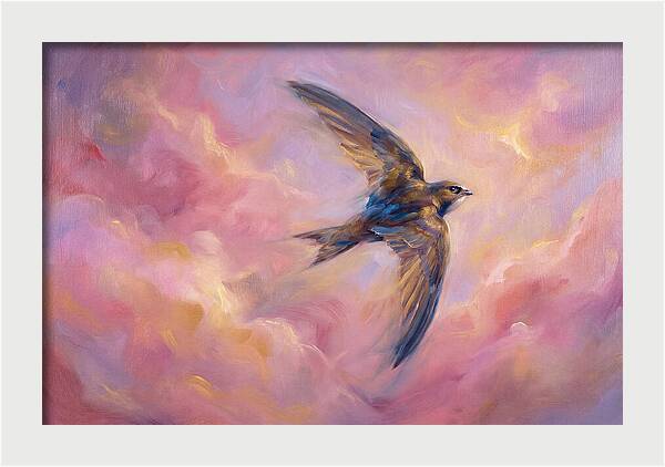 Swift Flight