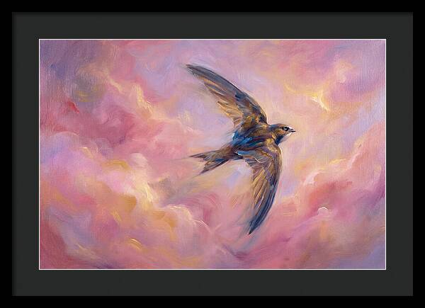 Swift Flight