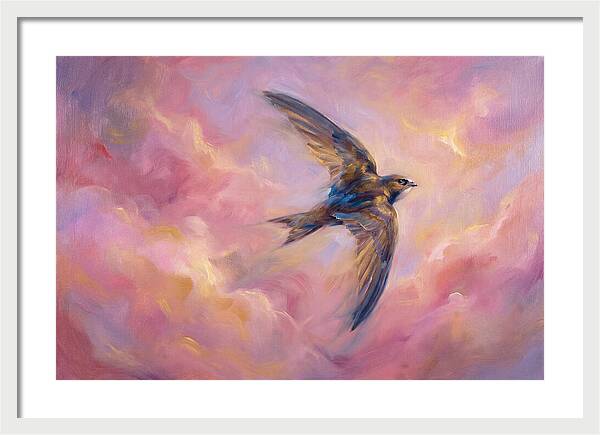Swift Flight