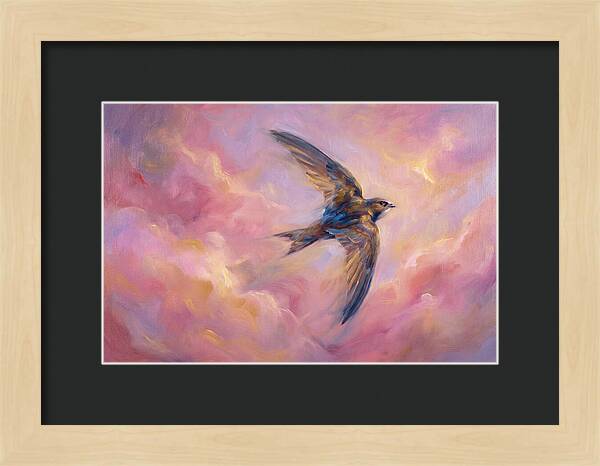 Swift Flight