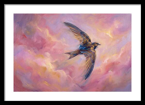 Swift Flight