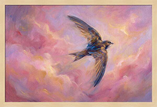Swift Flight
