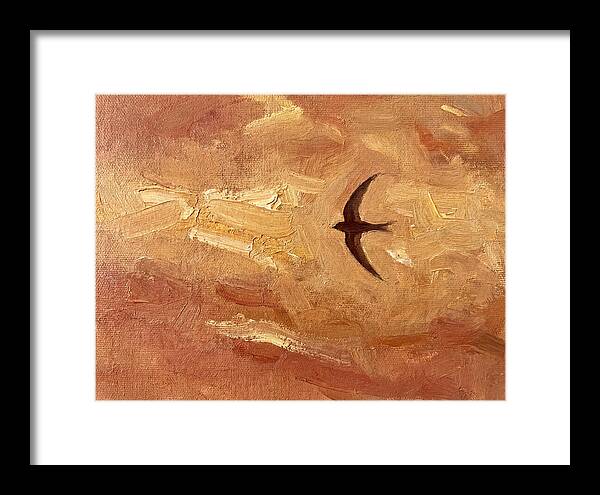 Swift Mediterranean Skies