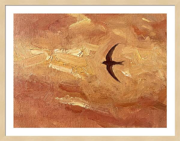 Swift Mediterranean Skies