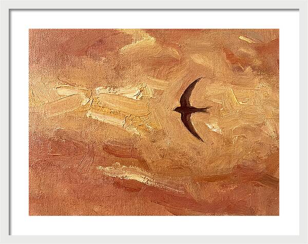 Swift Mediterranean Skies