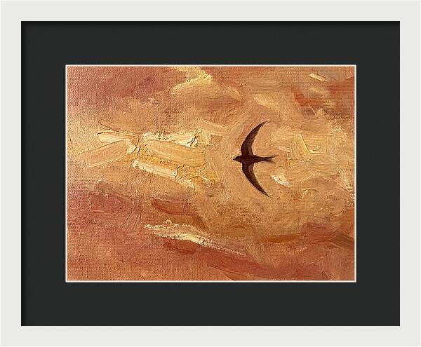 Swift Mediterranean Skies