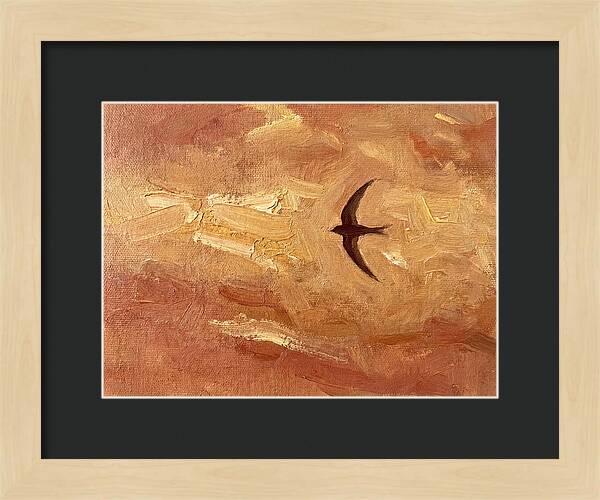 Swift Mediterranean Skies