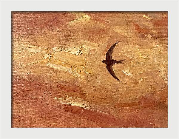 Swift Mediterranean Skies