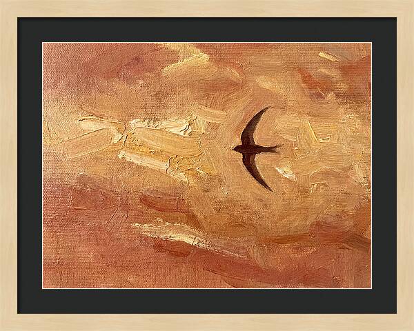 Swift Mediterranean Skies