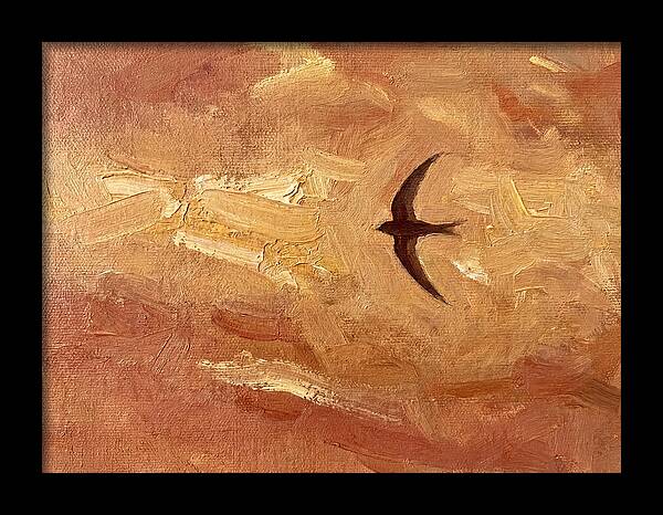 Swift Mediterranean Skies