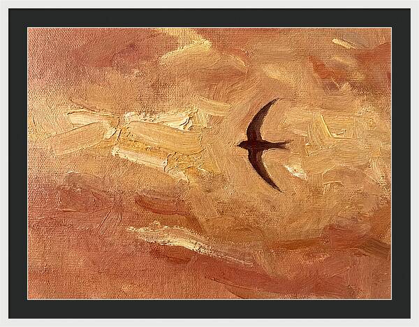 Swift Mediterranean Skies