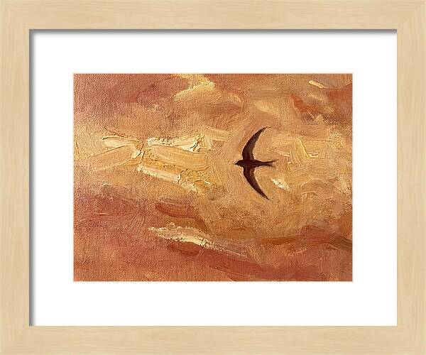 Swift Mediterranean Skies