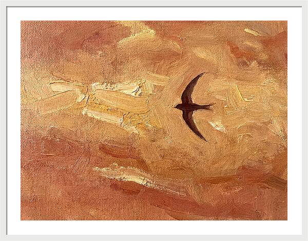Swift Mediterranean Skies