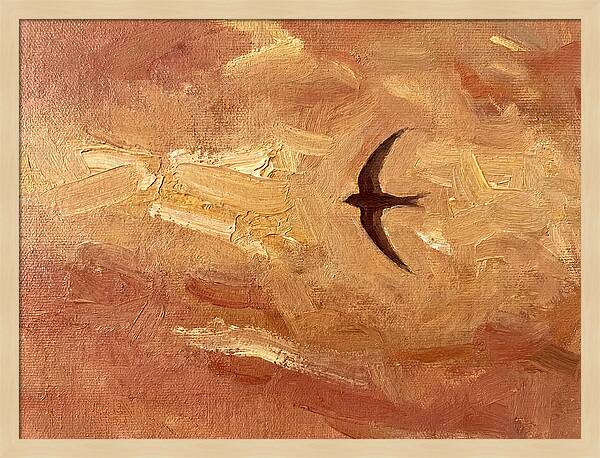 Swift Mediterranean Skies