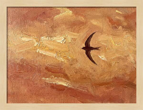 Swift Mediterranean Skies