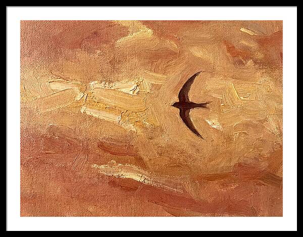 Swift Mediterranean Skies
