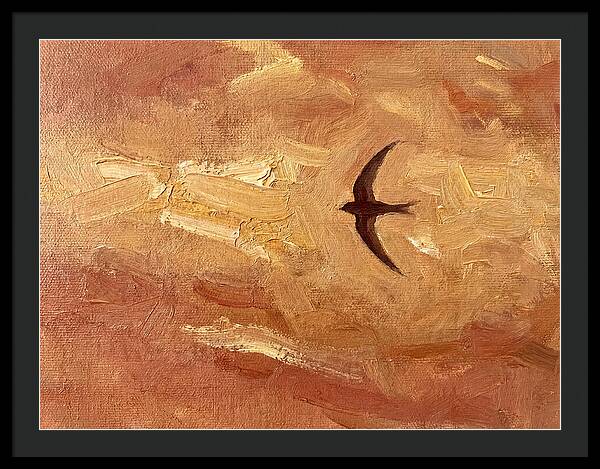 Swift Mediterranean Skies