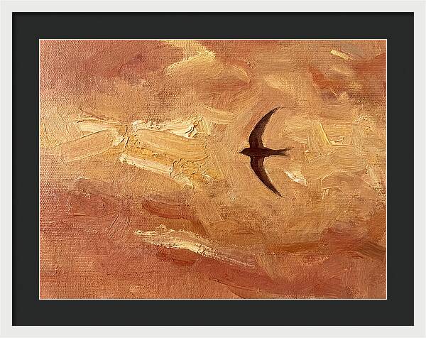 Swift Mediterranean Skies