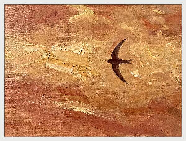 Swift Mediterranean Skies