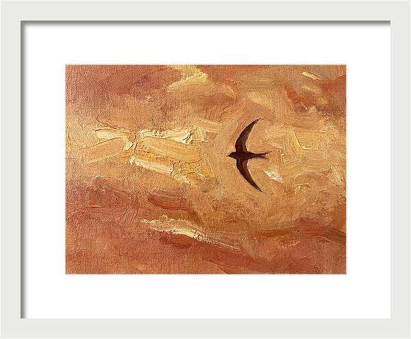 Swift Mediterranean Skies