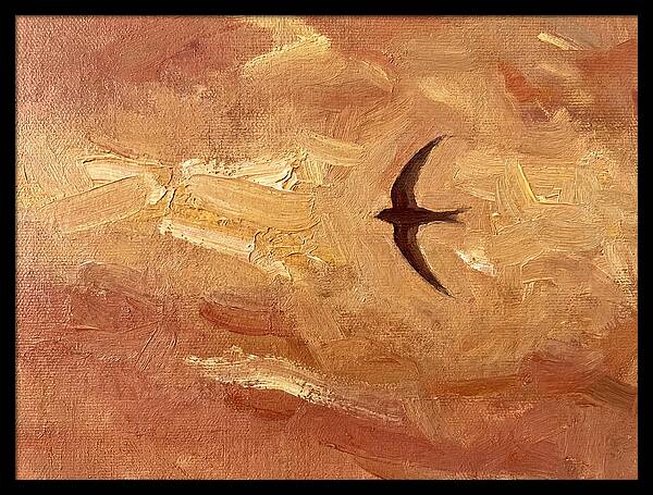 Swift Mediterranean Skies