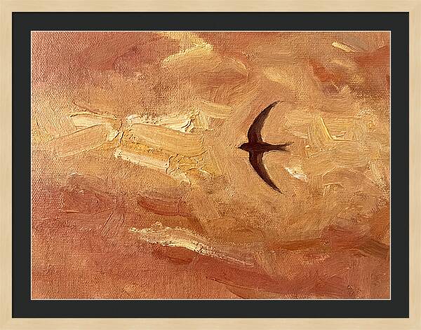 Swift Mediterranean Skies