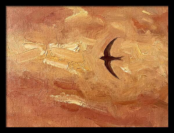 Swift Mediterranean Skies