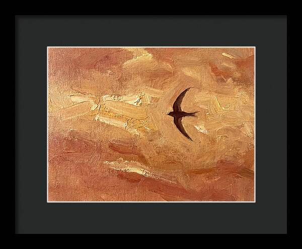 Swift Mediterranean Skies
